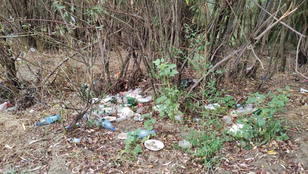 Deseuri care polueaza Delta Dunarii