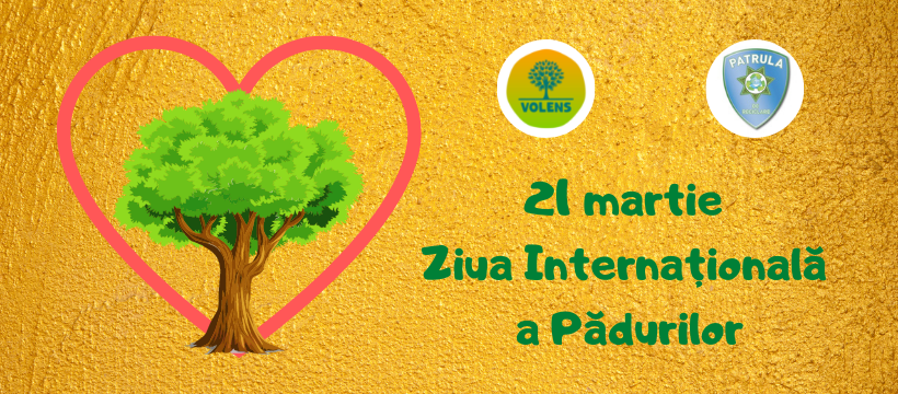 21 martie Ziua Internațională a Pădurilor 2022, Patrula de Reciclare, Ecosisteme, Biodiversitate